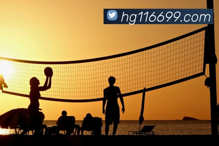 赛事专题整合